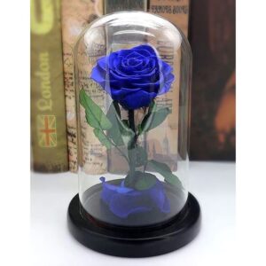 Hoa hồng bất tử 1 bông